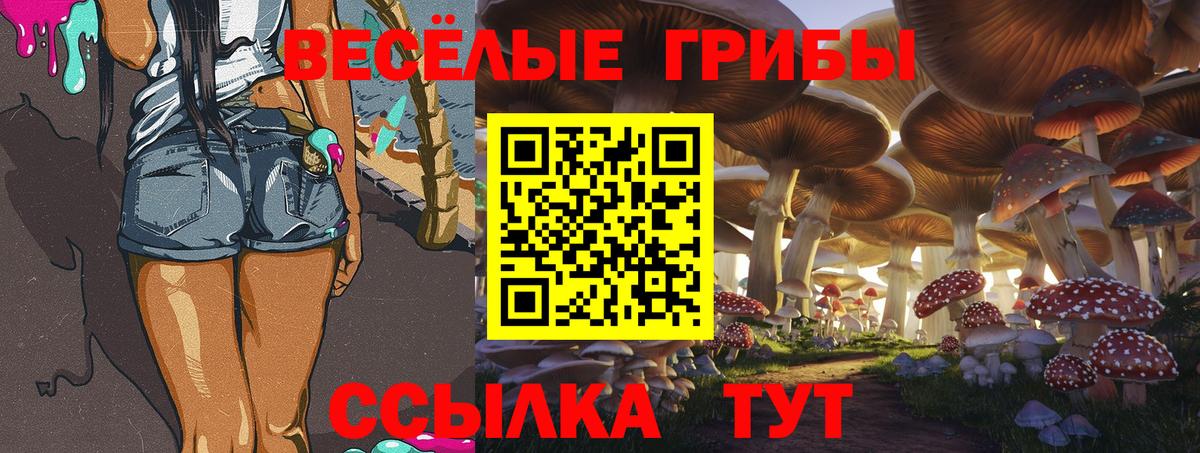 Глазов  Галлюциногенные грибы ЛСД  Вход с VPN 